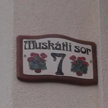 Klimatisiertes In Buekfuerdoe Mit Garten