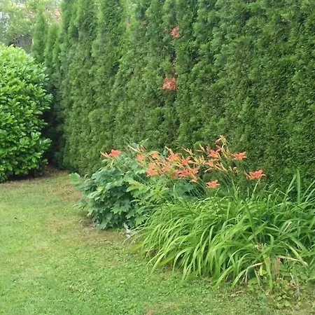 Klimatisiertes In Buekfuerdoe Mit Garten *