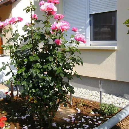 Klimatisiertes In Buekfuerdoe Mit Garten Casa vacanze Bük